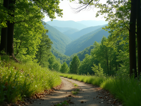 North Carolina Lifestyle Guide: Living in the Tar Heel State