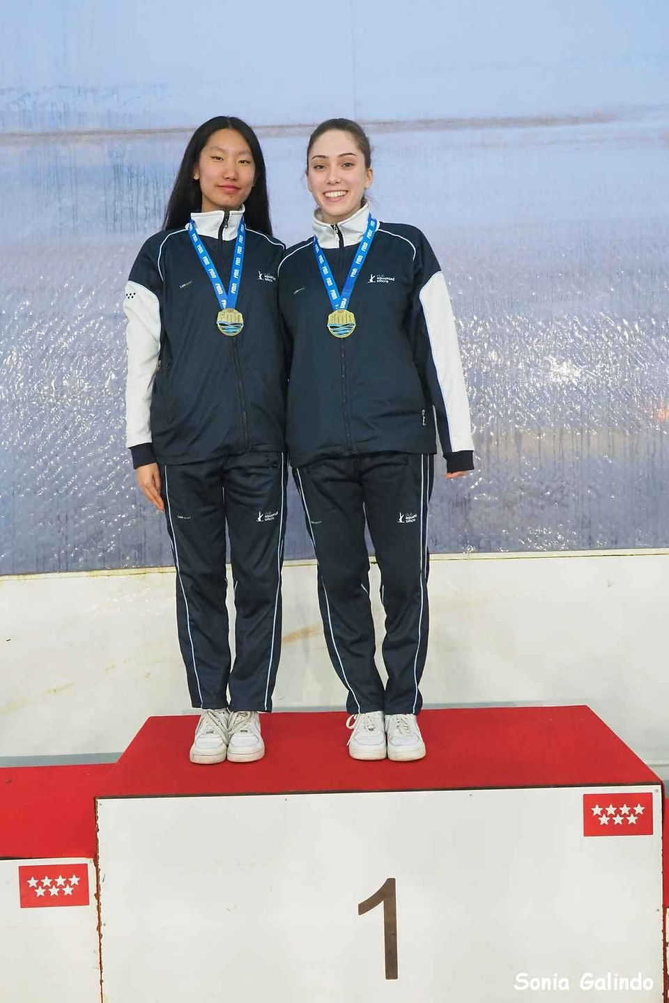 Campeonato de Madrid de Invierno de Natación Artística