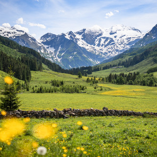 AdobeStock_304083598.jpeg