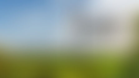 Shared Rural Network Consultation