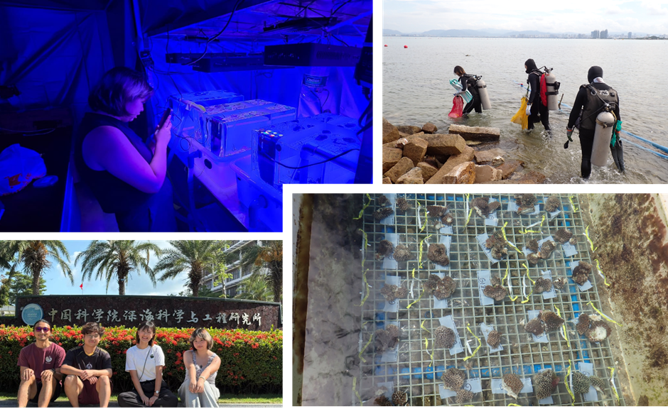 McIlroy Lab Expands Coral Range Research to Hainan