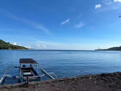 Luo Lab leads international CORDAP project to pioneer next-generation probiotics for coral climate resilience.