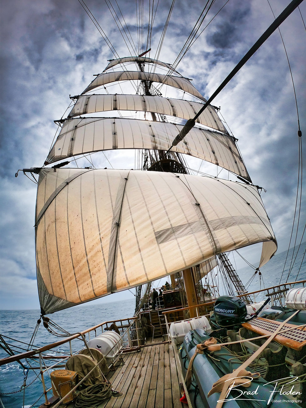BarkEuropaSea-2