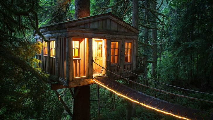 TreeHouse Point, United States Daintree Eco Lodge & Spa, Australia Ariau Amazon Towers, Brazil Tsala Treetop Lodge, South Africa Finca Bellavista, Costa Rica Hapuku Lodge, New Zealand Châteaux dans les Arbres, France 10 Nature's Secret Hideaways: Journeying into the realm of Tree House Escapes unsplash photos images disney tree houses thailand tree house villas tree hotel sweden