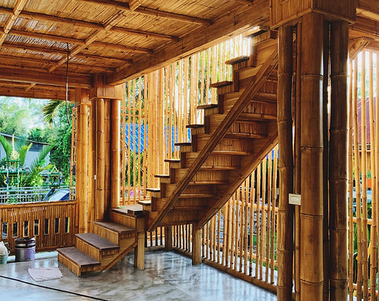 The Bamboo River House