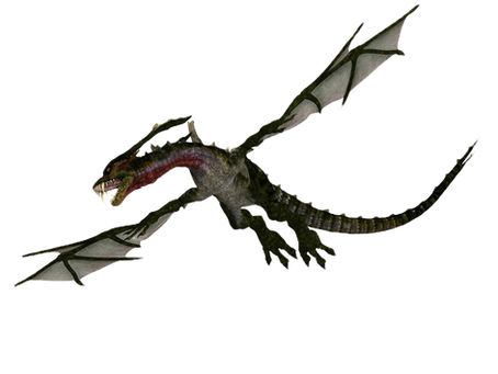 SUMMER THERAPY GROUPS