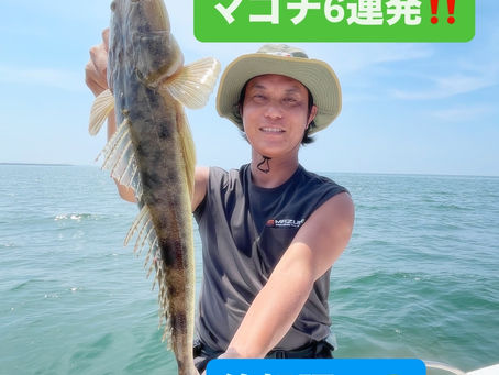 名古屋港ボートフィッシングガイドBlueHaze