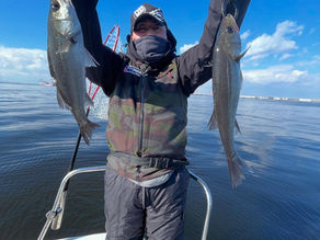 名古屋港ボートフィッシングガイドBlueHaze