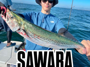 名古屋港ボートフィッシングガイドBlueHaze