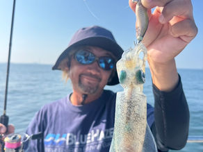 名古屋港ボートフィッシングガイドBlueHaze