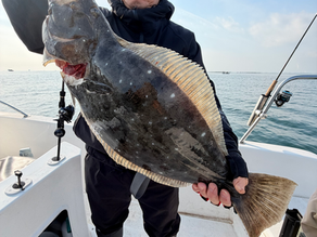 名古屋港ボートフィッシングガイドBlueHaze