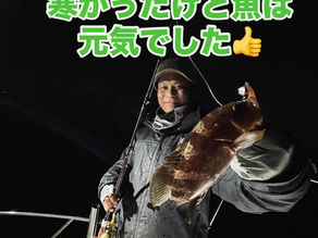 名古屋港ボートフィッシングガイドBlueHaze