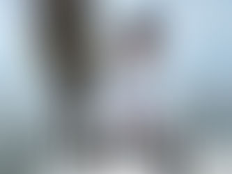 名古屋港ボートフィッシングガイドBlueHaze