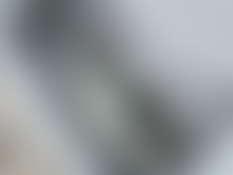 名古屋港ボートフィッシングガイドBlueHaze