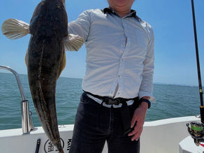 名古屋港ボートフィッシングガイドBlueHaze