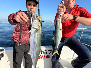 名古屋港ボートフィッシングガイドBlueHaze