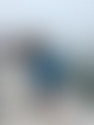 名古屋港ボートフィッシングガイドBlueHaze