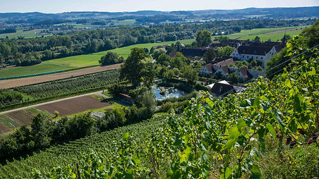 Kartause-Ittingen-Spätsommer004--2-_Gesamtansicht-1.jpeg