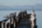 DSC00166 © DM.jpg