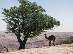 © Juozas Salna ++ (2)