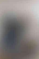 Bureau confortable en bois et une grande bibliothèque murale de couleur bleu foncé