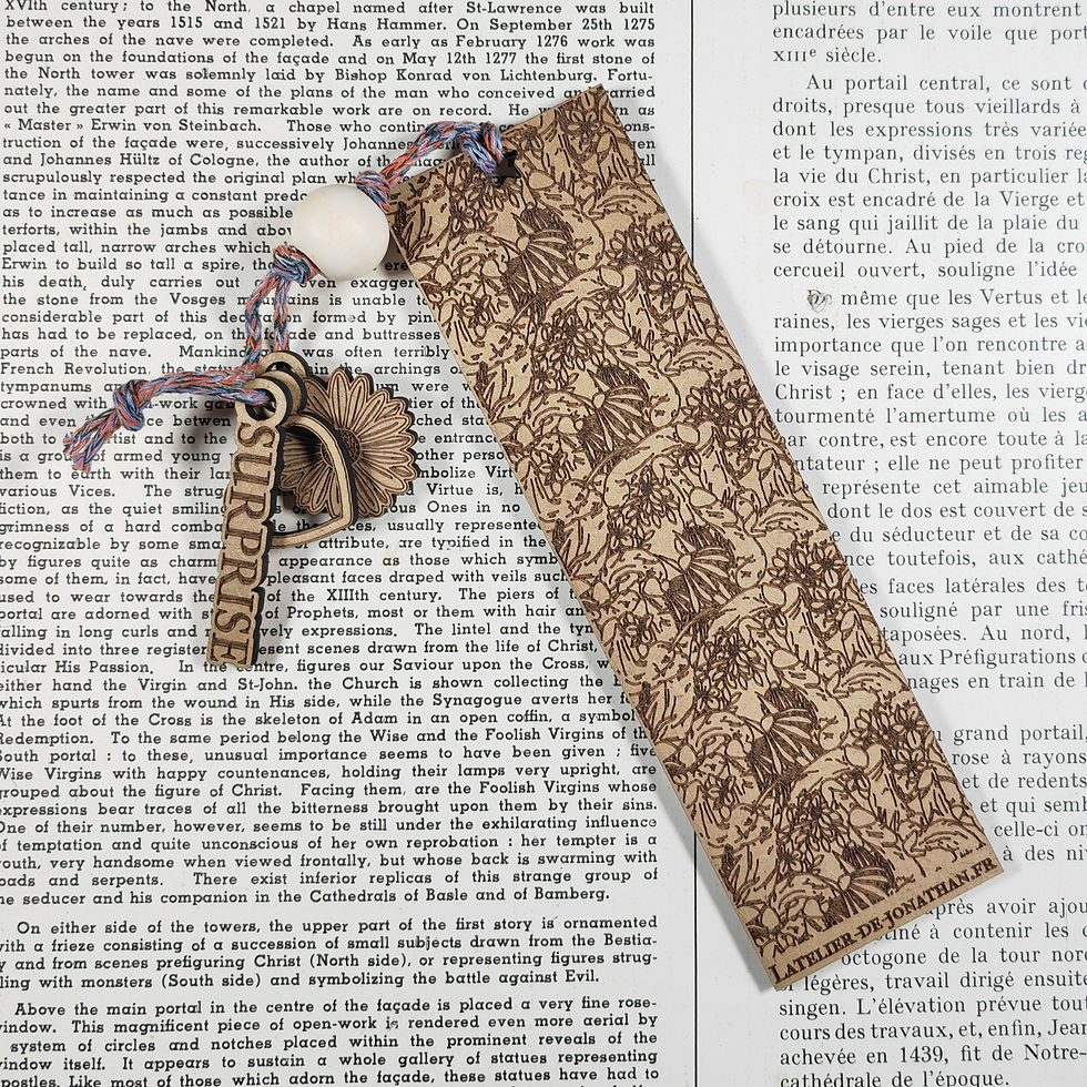 Miniature : +18 - Marque-page - Surprise