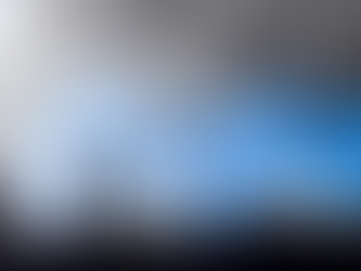 Acid Rain and Inspectors: Buildings at Risk