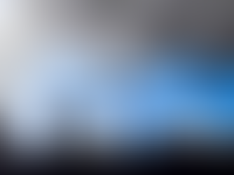 Acid Rain and Inspectors: Buildings at Risk