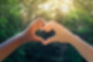 AdobeStock_115438891.jpeg