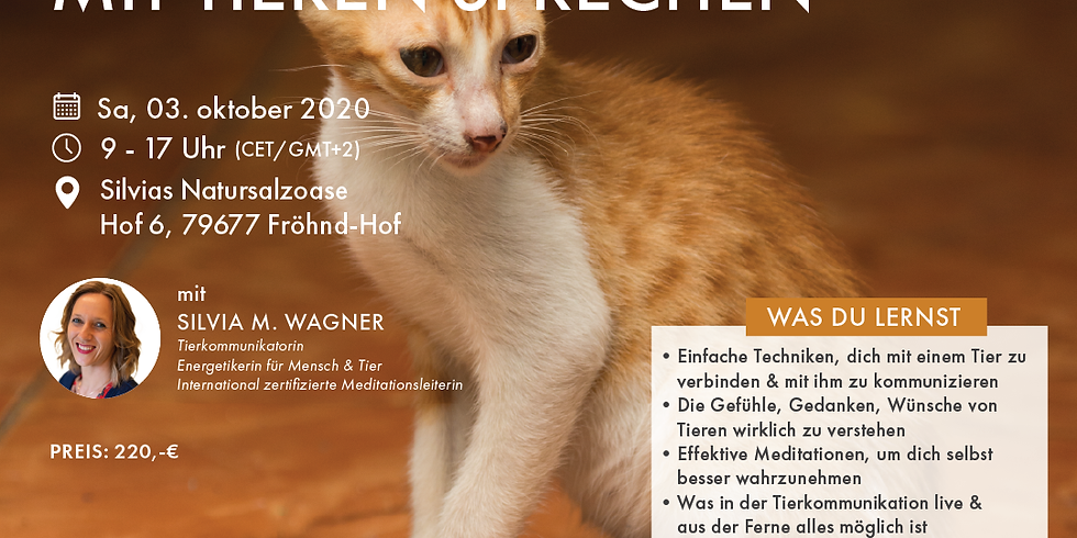 Auch du kannst mit Tieren sprechen