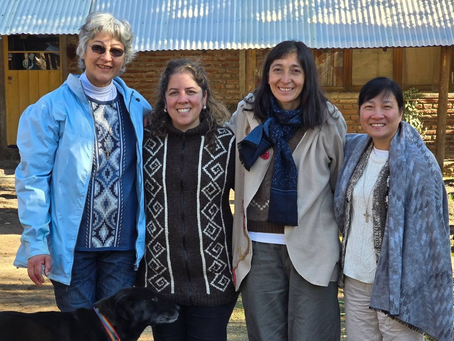 RUCA CHOROY: TALLERES SOBRE DERECHOS, SALUD Y MEDIO AMBIENTE EN UNA COMUNIDAD INTERCULTURAL