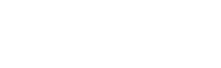 Dignad Logo White.png