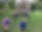309283735_487574016717214_747042020835231723_n.jpg
