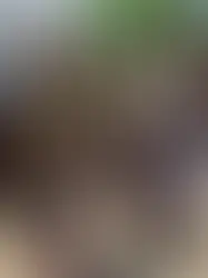 The Red Sea's Profitable Chaos: Why Institutional Dormancy Serves External Interests