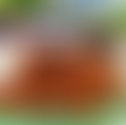 Pasta Puttanesca (aka Midnight Cupboard Raid Pasta) 