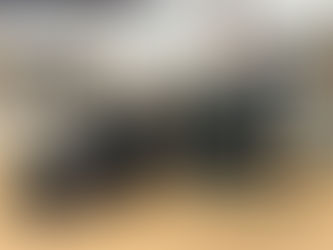 Local MP hosts mock Parliament with Ickleford Scouts