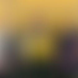 Hitchin MP teams up with Gavin and Stacey star to champion palliative care