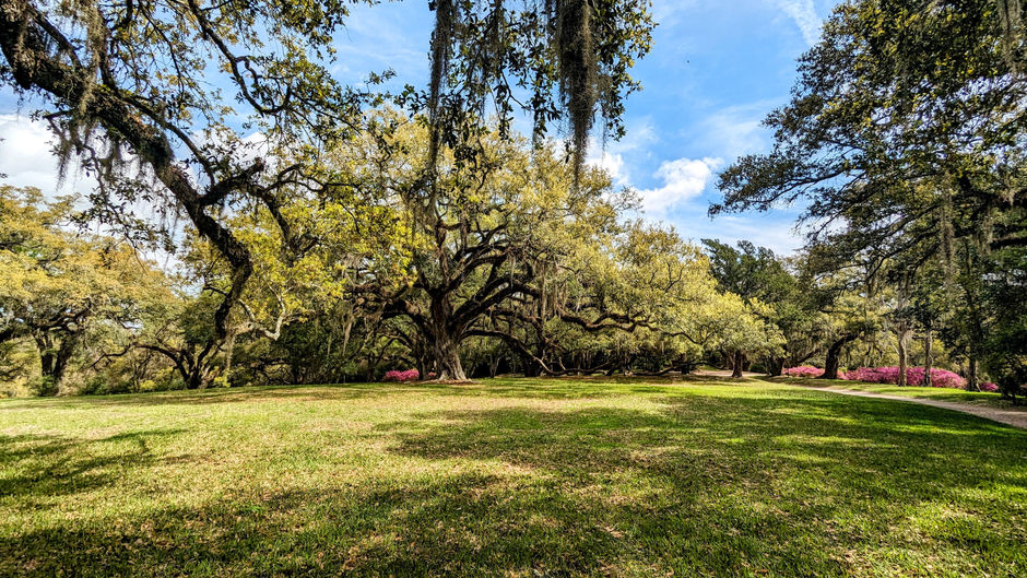 City Park, Louisiana 