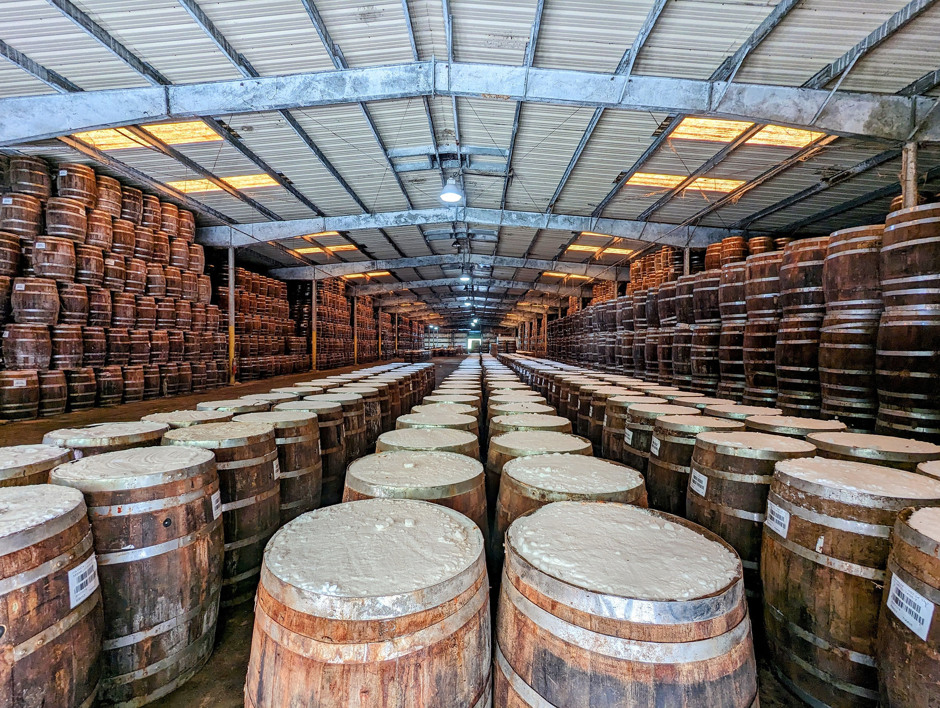 Large warehouse filled with rows of wooden barrels.
