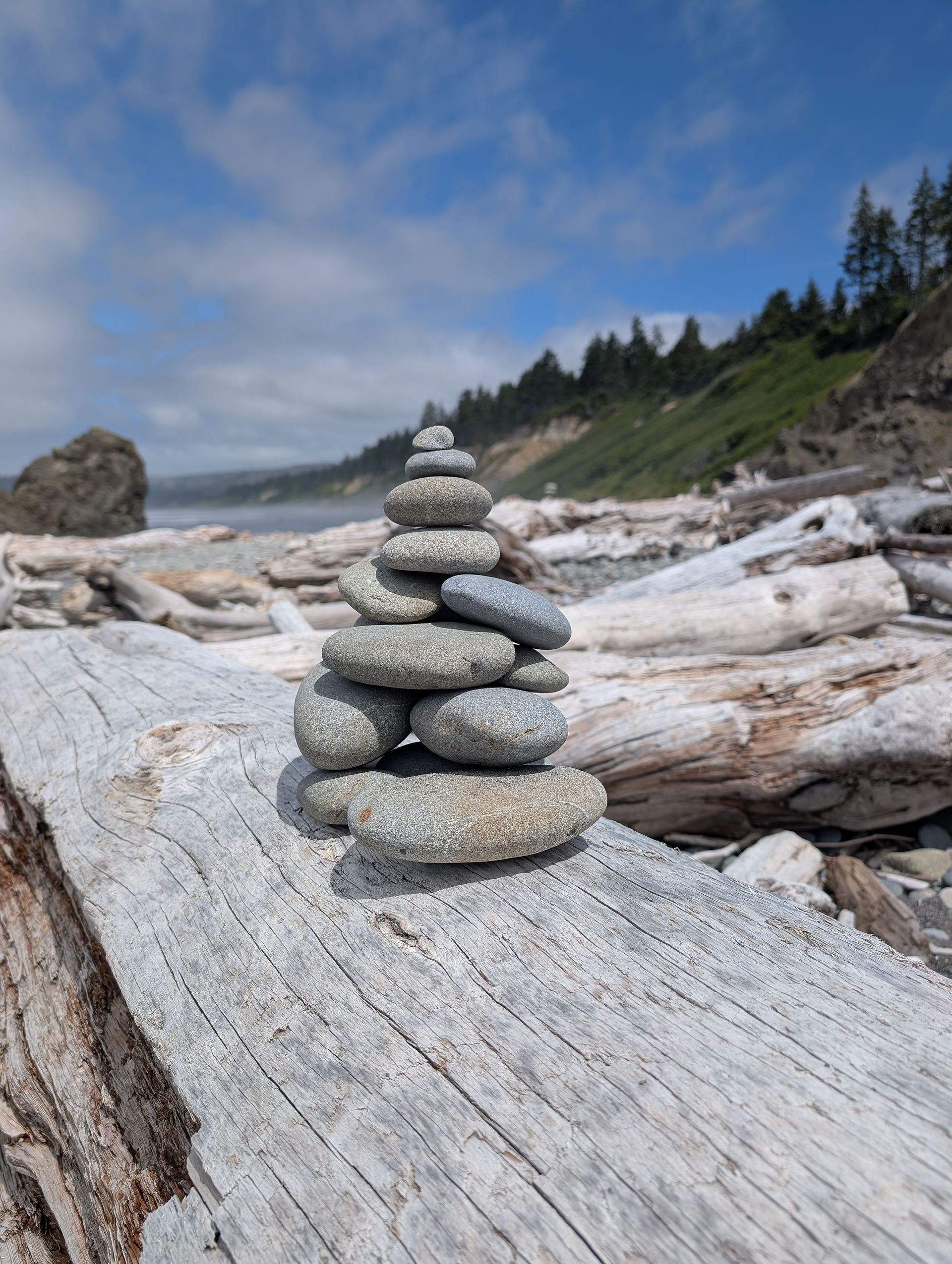 Olympic National Park Beach Ebeneezer 