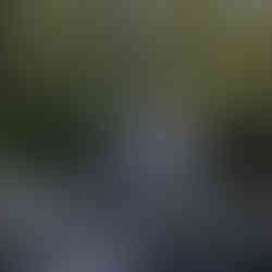 Waterfall along our hiking trail