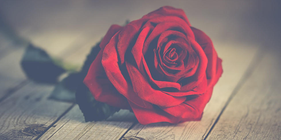 Valentines Day | Degustation DINNER