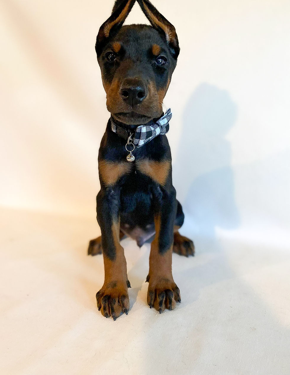 Green 6 Wks (6).jpg