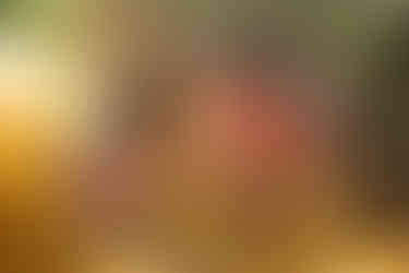 כמה תמונות מהסשנים האחרונים של צילומי משפחה בטבע ובסביבה אורבאנית עם אור טבעי של הצלם פיטר בורובוק