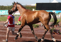 keny du moulin.gif