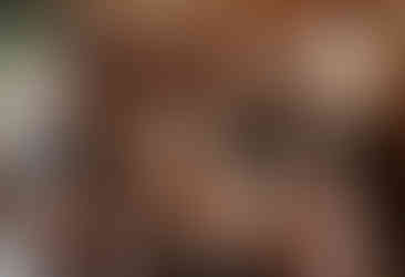 Winter wedding bridal party