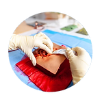 LuxResilience - Damage Control Logo