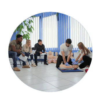 Das Bild zeigt eine Erste-Hilfe-Schulung in einem Raum mit großen Fenstern und blau-weißen Vorhängen. Zwei Personen führen an einer Übungspuppe eine Herz-Lungen-Wiederbelebung (HLW) durch, während drei weitere Teilnehmer auf Stühlen sitzen und zuschauen. Die sitzenden Teilnehmer halten Papierblätter in den Händen, vermutlich Anweisungen oder Schulungsunterlagen. Im Hintergrund sind mehrere weitere Übungspuppen zu sehen, die auf dem Boden platziert sind. Die Szene wirkt wie ein praxisorientierter Erste-Hilfe-Kurs in einem freundlichen und gut beleuchteten Raum.