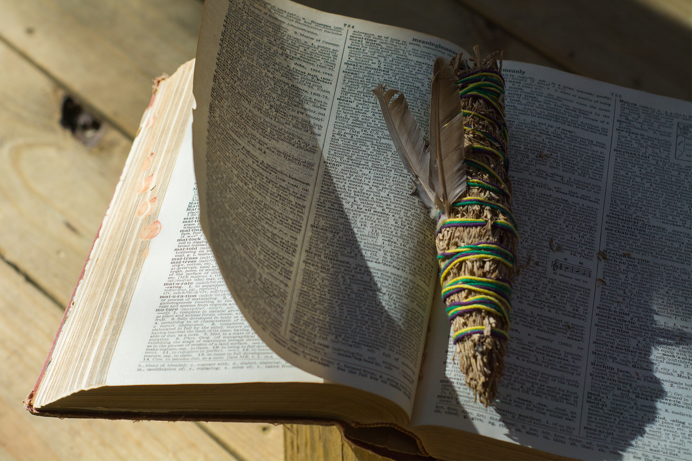 Sage and Meaning