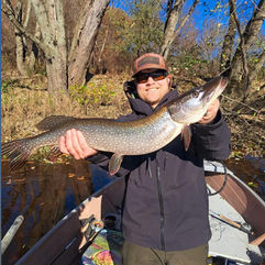 Pike